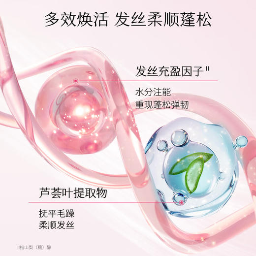 【资生堂】芯护理道轻盈丝逸系列蓬松洗发露500ml 商品图3