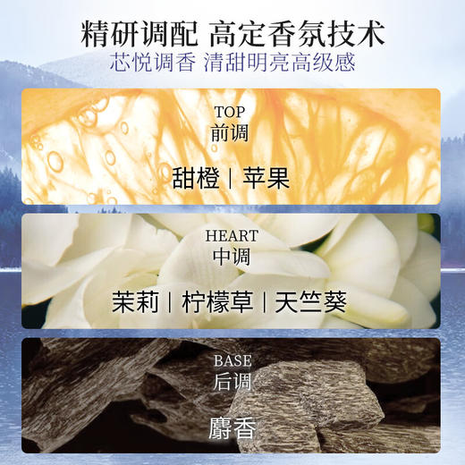 【资生堂】芯护理道头皮生机系列洗发露500ml 商品图3