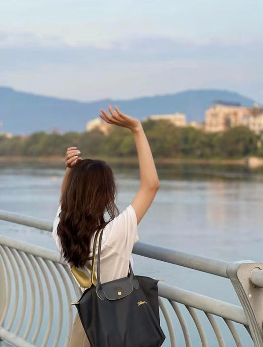 少量！特价！龙X70周年限量刺绣版 经典长柄饺子包! 商品图6