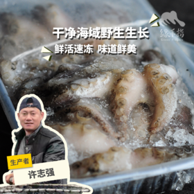 野生活冻小章鱼  | 合作生产 * Wild Dongshan Island seafood | Coproduction