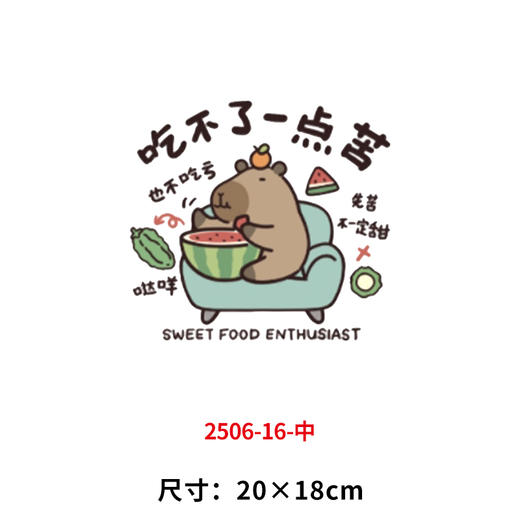 卡通动卡皮巴 拉烫画印花贴新款衣服DIY热转印胶片白墨烫画 商品图1