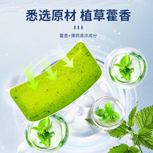 热卖！39.9十盒100贴！！植物嬢嬢 藿香暑小暑贴 即贴即凉❄植萃精华舒缓燥热 悉选原材 植草藿香 商品图1