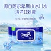 f『得宝Tempo』 纯水湿厕纸40片/包x4包  净享清爽洁净 商品缩略图4
