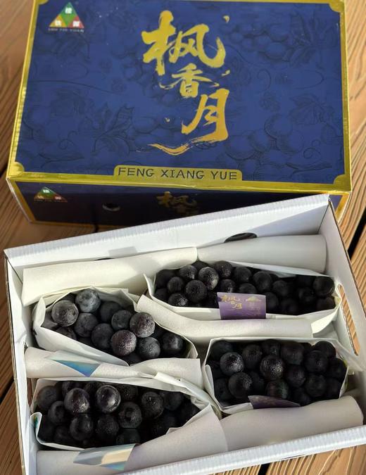 楼铁源枫香月葡萄（一箱4串） 商品图0