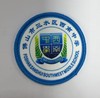 通版佛山市三水区西南中学包边校徽校服布姓名贴章可缝烫现货发51 商品缩略图0
