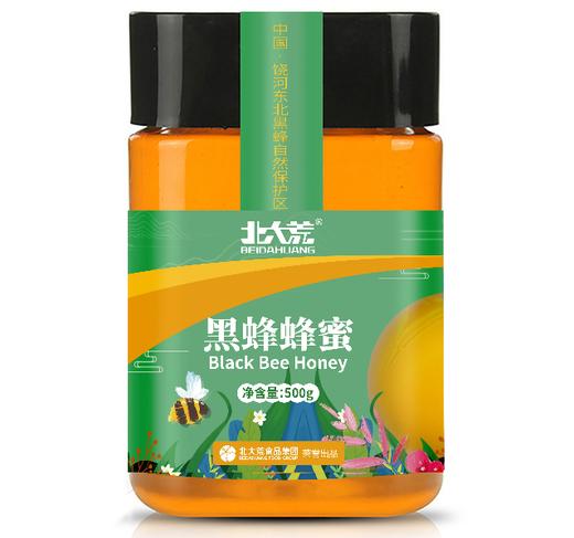 北大荒黑蜂蜂蜜500g 商品图0