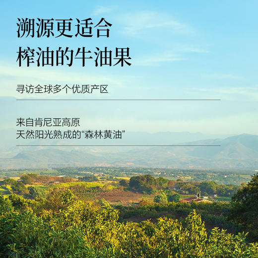 有机牛油果油1L  富含Omega9 0反式脂肪酸【基地直发】 商品图2