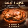 「顺丰冷链包邮」一口鲜入魂！白兰地花雕熟醉六月黄/全母蟹/罗氏虾，洪泽湖活螃蟹现捞现制，蟹黄爆浆！ 商品缩略图2