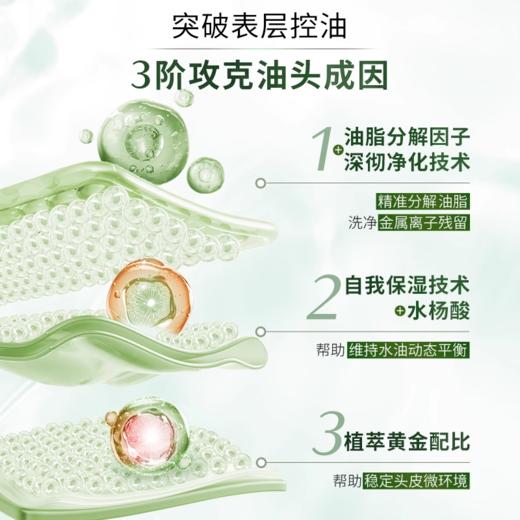 【资生堂】芯护理道芳氛头皮系列控油洗发露500ml 商品图1