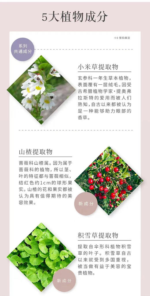 日本AXXZIA晓姿4D金字塔眼膜紧致淡纹抗皱淡化黑眼圈提拉紧致60片/罐 商品图9