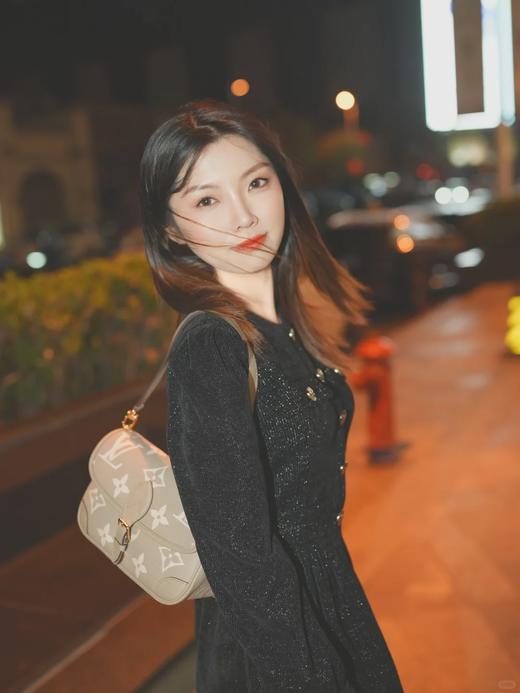 BT253-驴家  Diane 挎包   法棍 大象灰（BT*MM）7.22直播款 商品图0