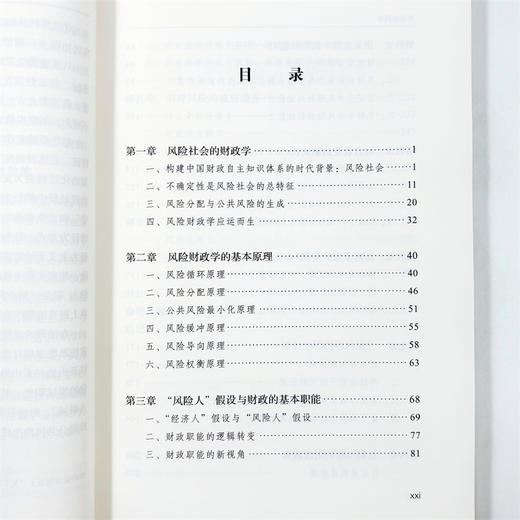 中国财政学：基于风险逻辑的分析 商品图5