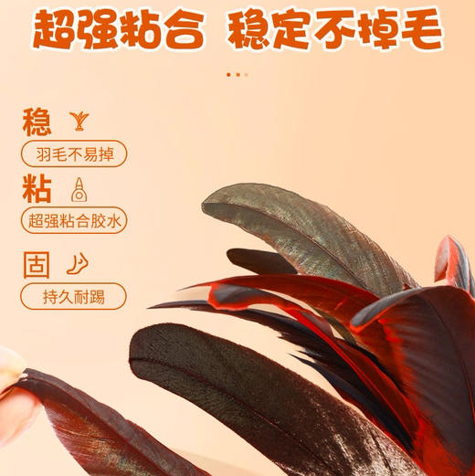 彩色鸡毛毽子成人健身儿童小学生幼儿园训练耐踢 商品图1