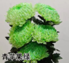 小菊 | 牡丹菊青苹果绿【人工吸染，有色差，慎重下单】 商品缩略图0