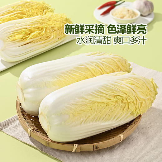 MM 山姆 有机娃娃菜 850g 商品图3
