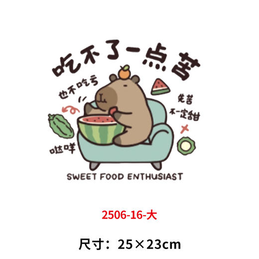 卡通动卡皮巴 拉烫画印花贴新款衣服DIY热转印胶片白墨烫画 商品图0