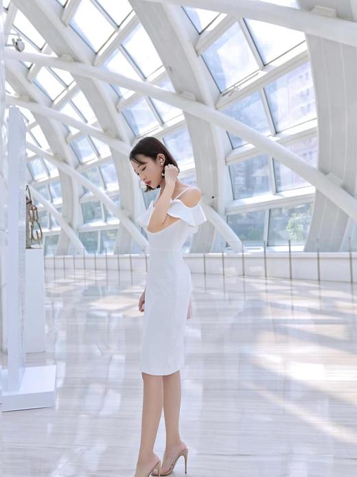 迪奥-五格戴妃 堪称展现Di*r高级订制时装精神的艺术杰作（LZ） 商品图11