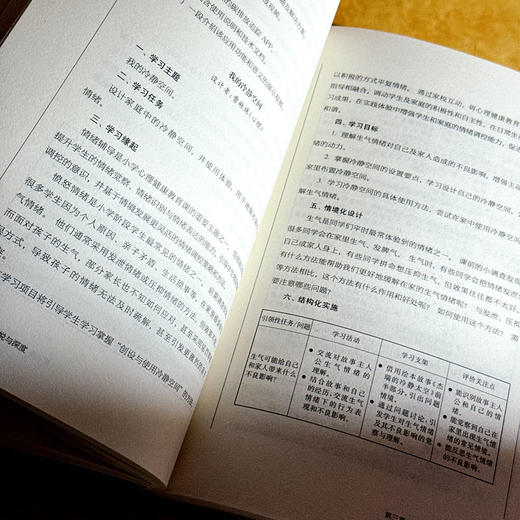 创造性学习的愉悦与深度 谭珊珊 培育创新思维的学习设计 商品图12