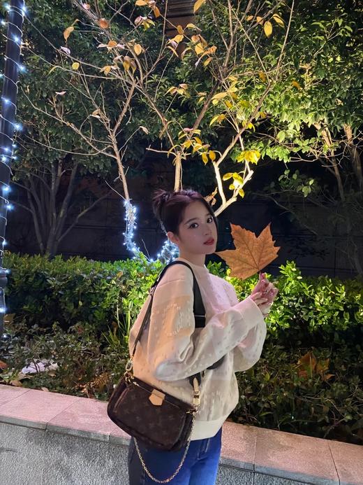 BT262-驴家 Multi Pochette Accessoires五合一腋下包（BT*MM）7.22直播款 商品图2