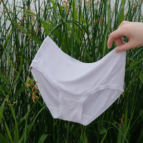 官网289！三条装内家提花莫代尔云感透气女士内裤 10A抗菌底档细腻高弹中腰全包臀底裤三角裤