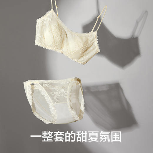 【新品上新】有棵树三角杯超薄性感蕾丝美背细肩带文胸内衣套装-B6113 商品图4