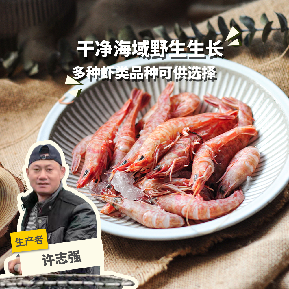野生东山岛海虾| 合作生产 * Wild Dongshan Island Shrimps | Coproduction