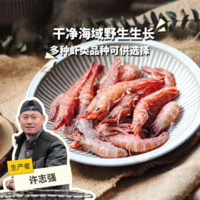 野生东山岛海虾| 合作生产 * Wild Dongshan Island Shrimps | Coproduction