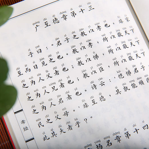 三字经 百家姓 千字文 德育启蒙 孝经 中华经典诵读本书籍 商品图4