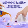 『除菌液』拖地洗衣玩具多用途清洁松木精华温和安全浓缩配方 商品缩略图1