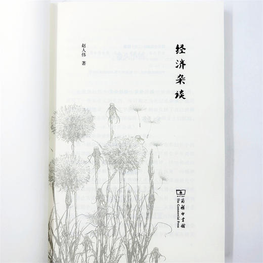 经济杂谈 商品图5