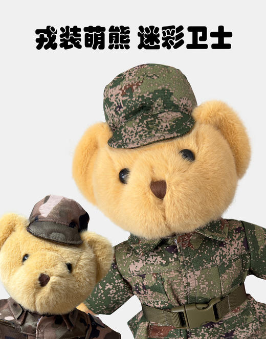 《戎宝》小熊玩偶公仔摆件  软萌PP棉  衣物可穿脱  治愈系陪伴 商品图1