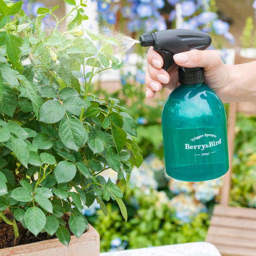 Berry&Bird 0.5L小喷壶 商品图2
