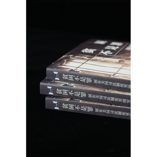 贫困不是罪 困在美国司法制度里的穷人 彼得·埃德尔曼 著 社会科学 商品图1