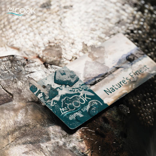 三文鱼“劳斯莱斯”新西兰帝王鲑！刺身级全球产量万分之一！ 商品图1