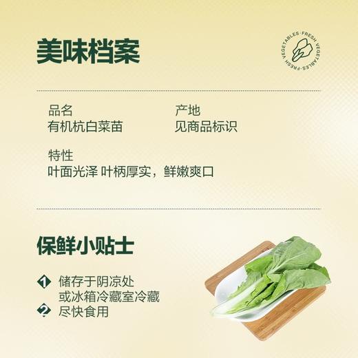 MM 山姆 Member's Mark 有机杭白菜苗 600g 商品图4