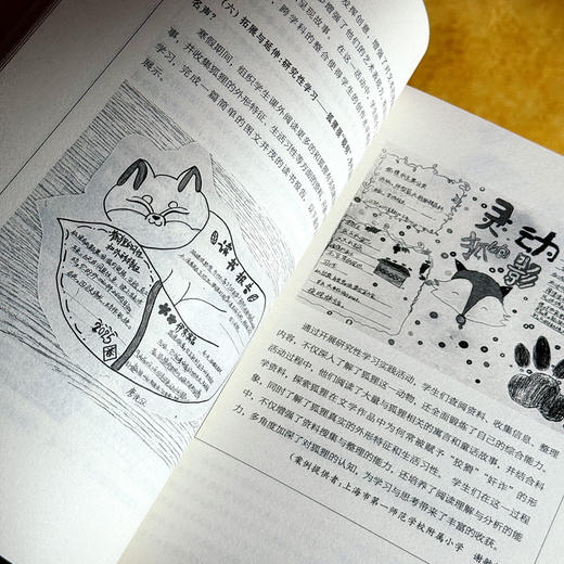 创造性学习的愉悦与深度 谭珊珊 培育创新思维的学习设计 商品图11