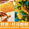 桂花蜂蜜条便携式蜂蜜条20g*10袋开袋即食 商品缩略图12