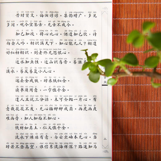 增广贤文 名贤集 龙文鞭影 中华经典诵读本书籍 商品图3