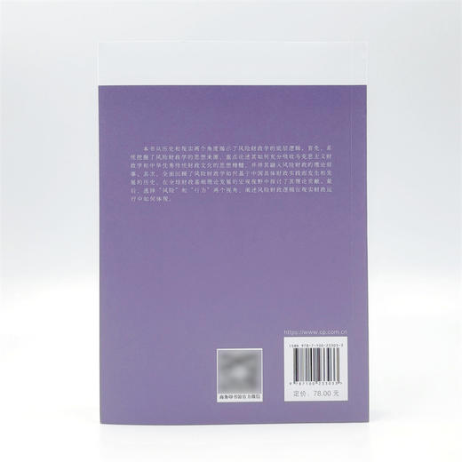 风险财政观 商品图2