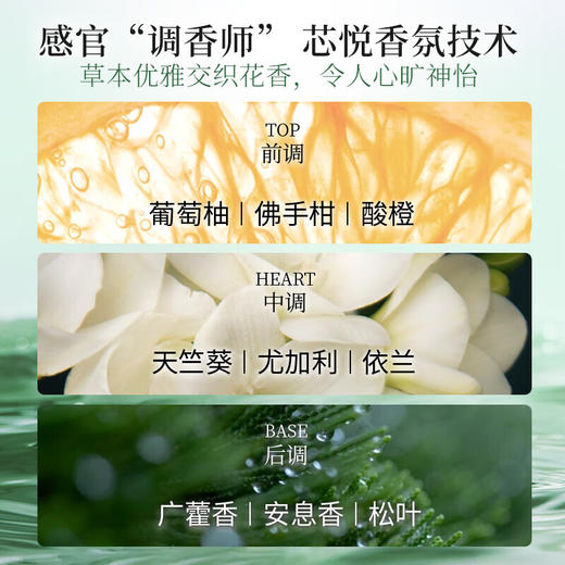 【资生堂】芯护理道芳氛头皮系列控油洗发露500ml 商品图3