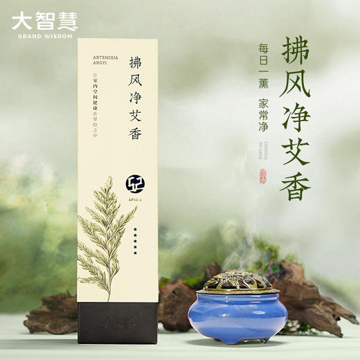 【送香炉】艾草盘香3.5小时/160片茅厕去味冬季室内去味净味 商品图0