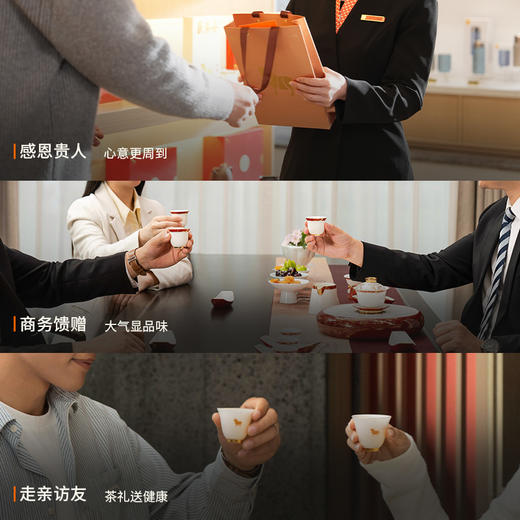 八马茶业 | 十全十美系列五大茗茶组合装205g 商品图7