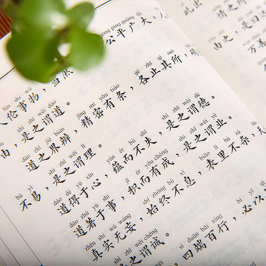 了凡四训 中华经典诵读本书籍 商品图3