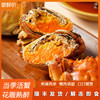 「顺丰冷链包邮」一口鲜入魂！白兰地花雕熟醉六月黄/全母蟹/罗氏虾，洪泽湖活螃蟹现捞现制，蟹黄爆浆！ 商品缩略图1