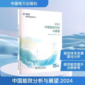 中国能效分析与展望 2024