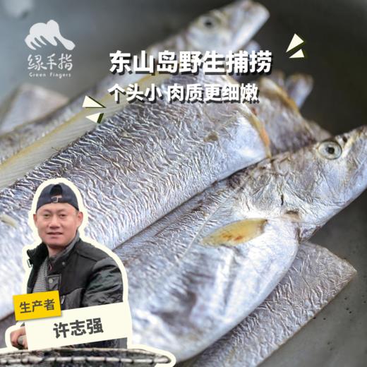 野生东山岛黄金带鱼段| 合作生产 * Wild hairtail | Coproduction 商品图0