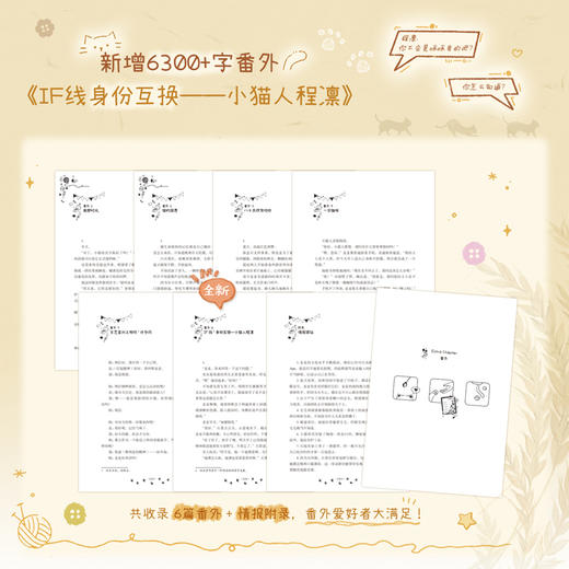 于是麦麦决定离家出走  柏君 小说 磨铁图书 商品图3