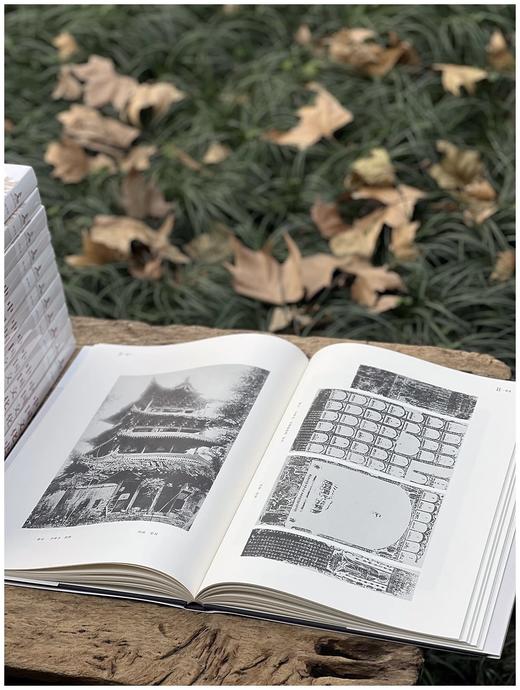 重点推荐！！《中国文化史迹》，全12册，精装，8开大册，常盘大定、关野贞著，上海辞书，2018年11月一版一印，定价8800，售价2480（全新原箱包邮） 商品图10