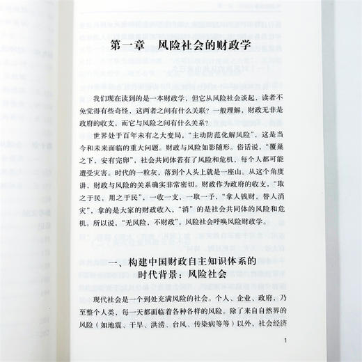 中国财政学：基于风险逻辑的分析 商品图6