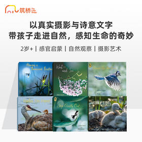 Step Gently, Look Closely 万物低语